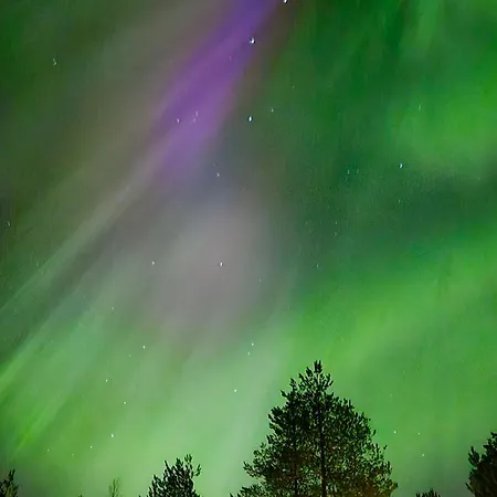 Korento - Private With Sauna & Lappish-style Grill Hut Appartement *